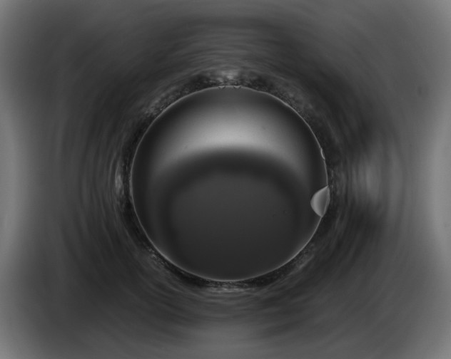 X0000084550754200703021505