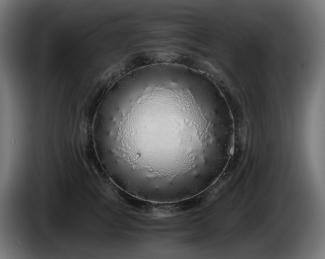 X0000084550757200703021506