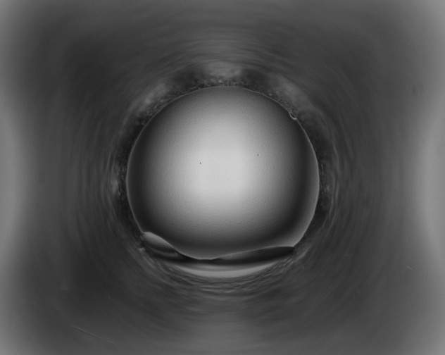 X0000084550758200703021506