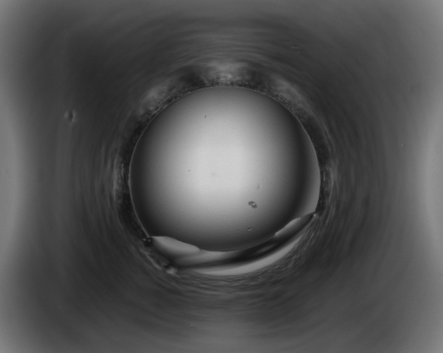 X0000084550760200703021506