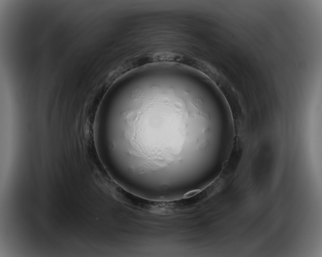 X0000084550761200703021506