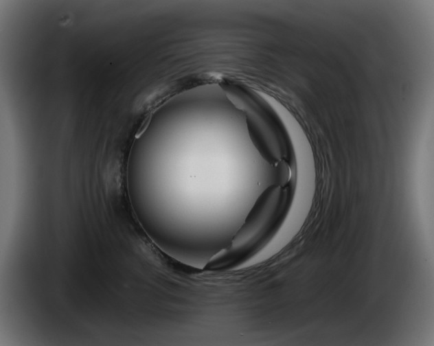 X0000084550762200703021506