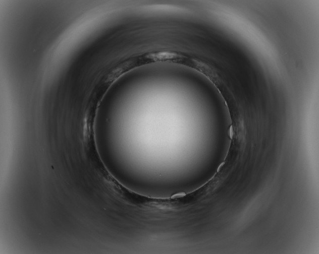 X0000084550763200703021506