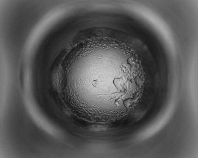 X0000084550765200703021506
