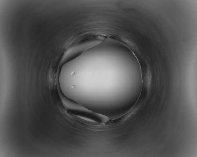 X0000084550766200703021506