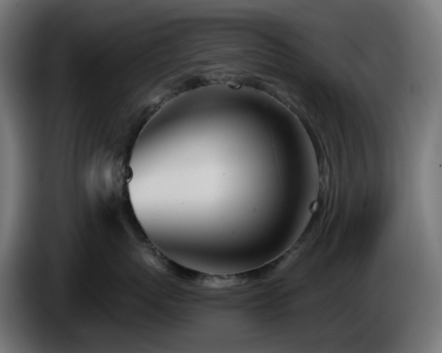 X0000084550767200703021506