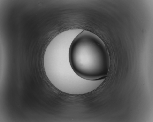 X0000084550768200703021506