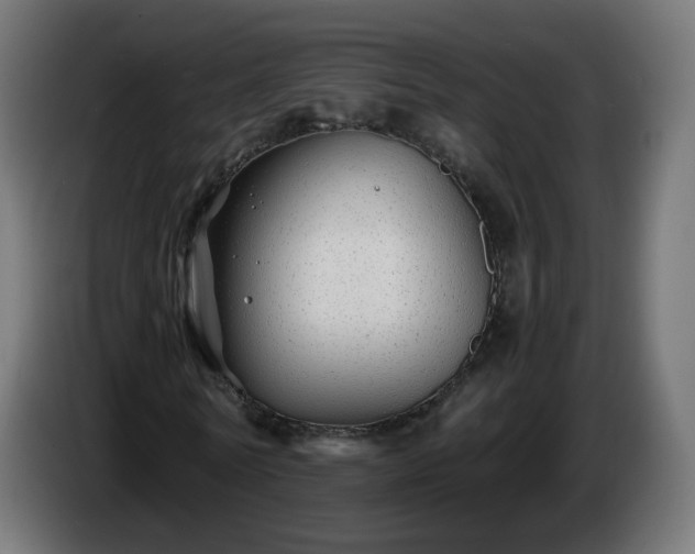 X0000084550770200703021505