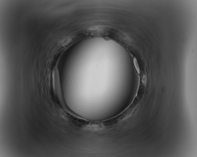 X0000084550771200703021505
