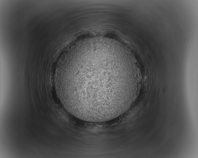X0000084550772200703021505