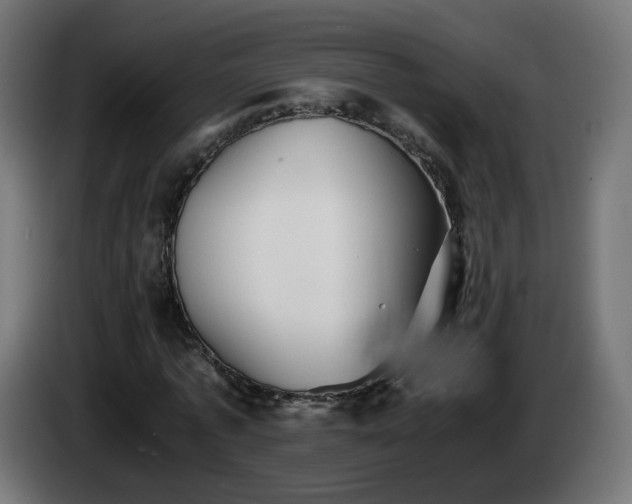 X0000084550773200703021505