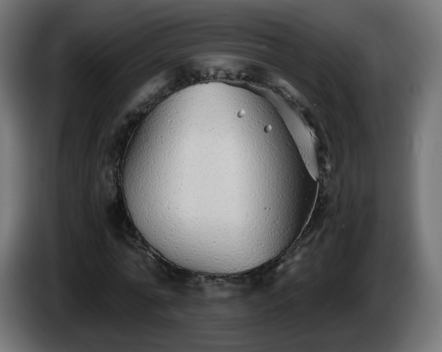 X0000084550774200703021505