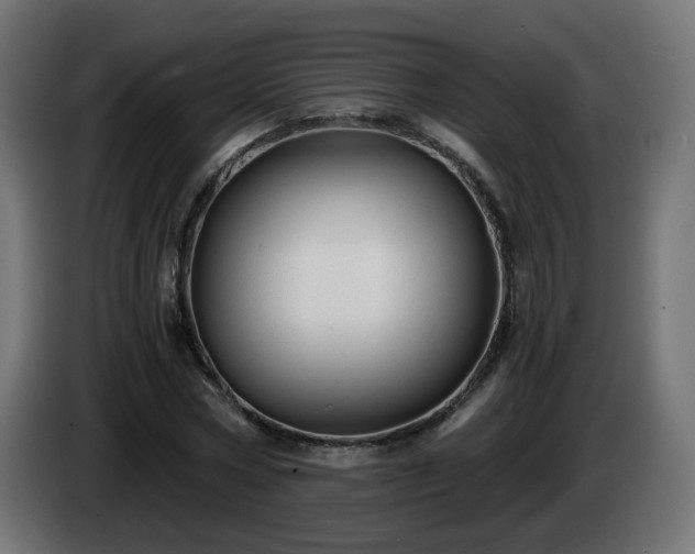 X0000084550778200703021505
