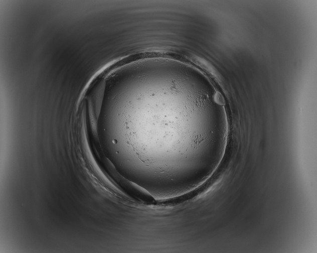 X0000084550779200703021505