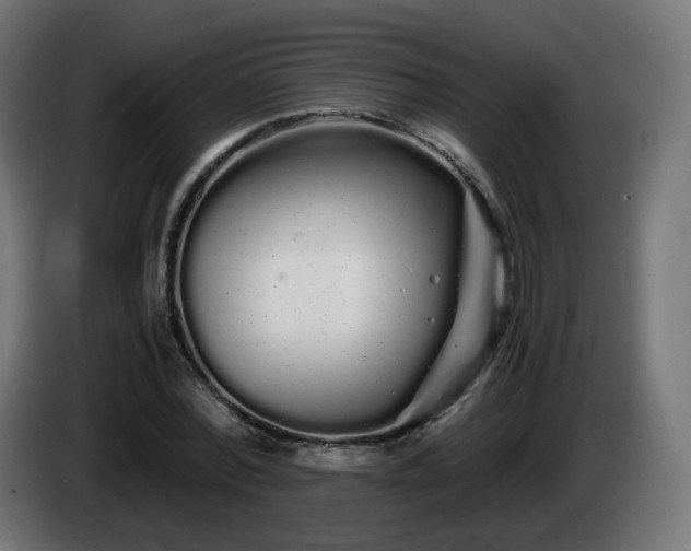 X0000084550780200703021505