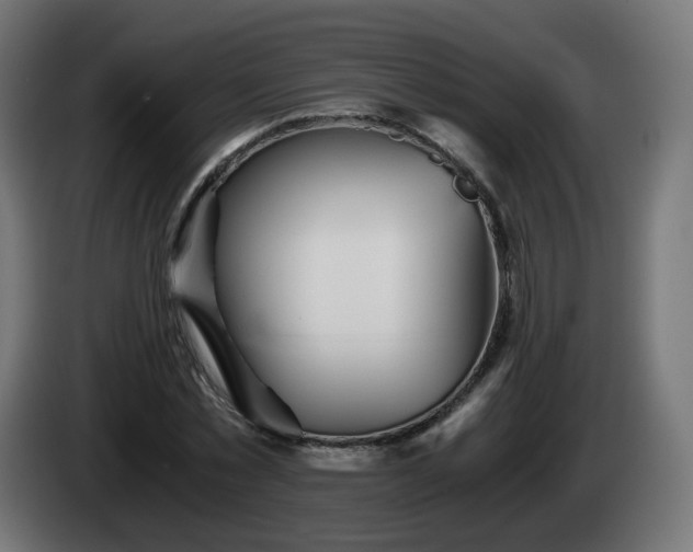 X0000084550781200703021505