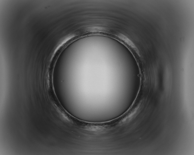 X0000084550782200703021505