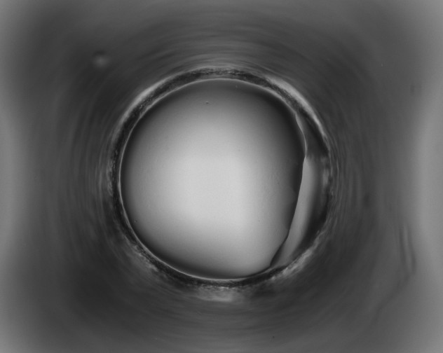 X0000084550783200703021505