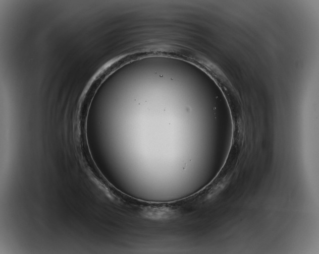 X0000084550784200703021505