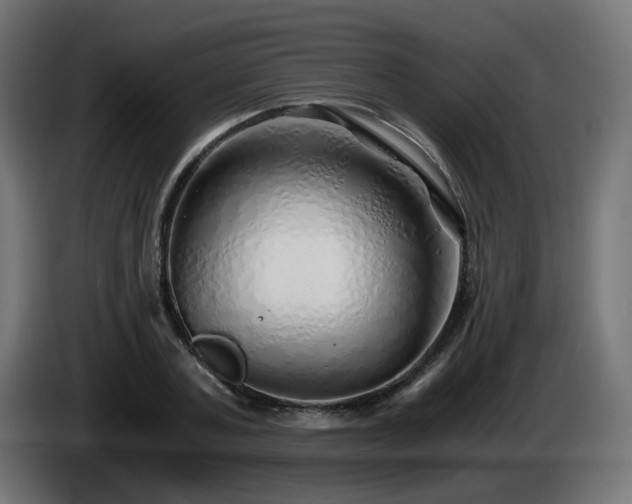 X0000084550787200703021505