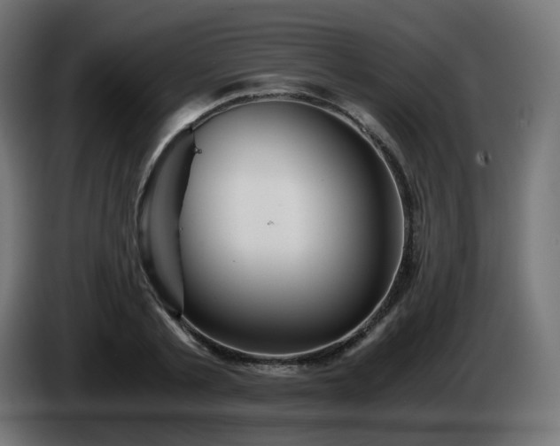 X0000084550789200703021505