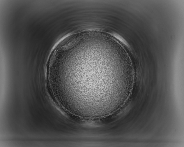 X0000084550790200703021505