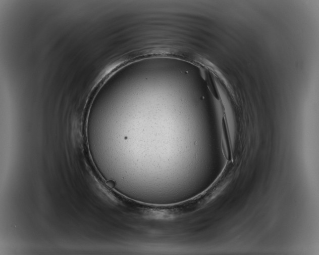 X0000084550794200703021505
