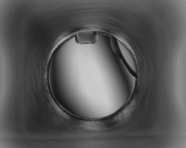 X0000084550797200703021505