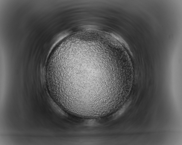 X0000084550798200703021505