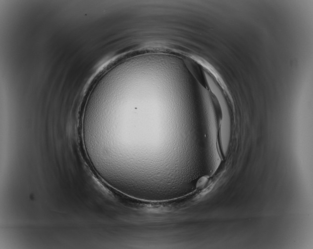X0000084550799200703021505