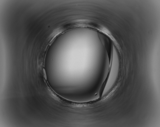 X0000084550801200703021505