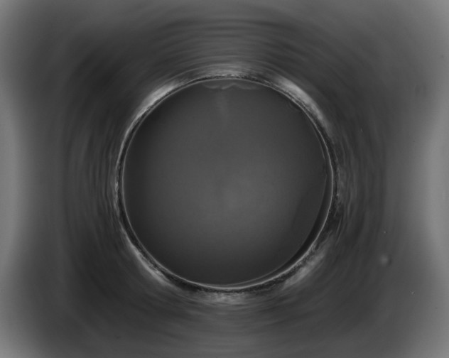 X0000084550802200703021505
