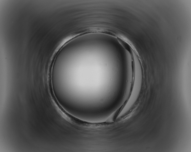 X0000084550803200703021505