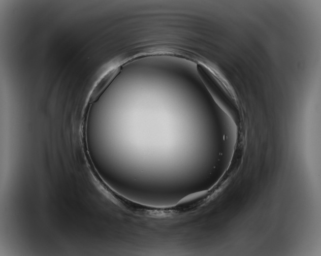 X0000084550805200703021504