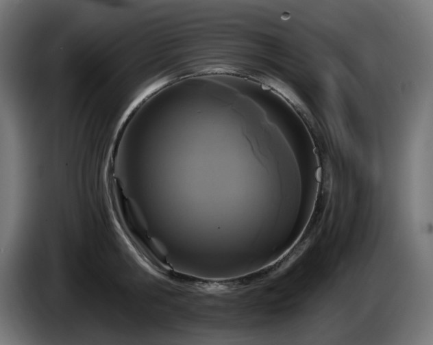 X0000084550806200703021504