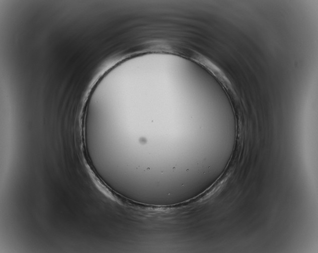 X0000084550808200703021504
