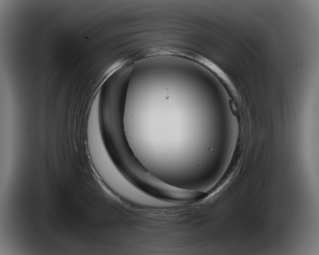 X0000084550809200703021504