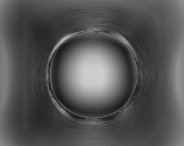 X0000084550811200703021504