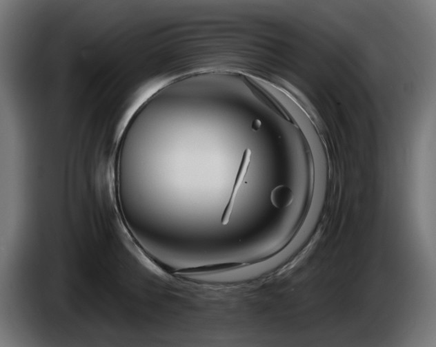 X0000084550812200703021504
