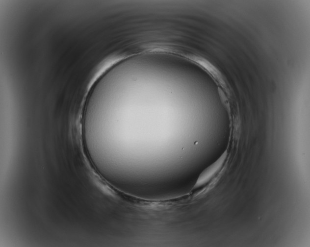 X0000084550814200703021504