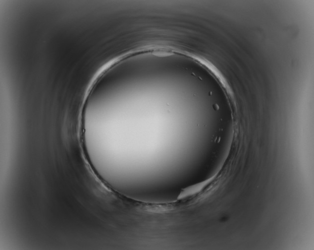 X0000084550815200703021504