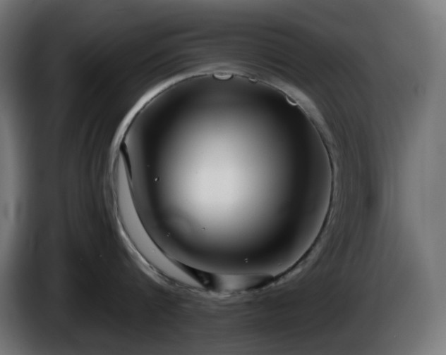 X0000084550816200703021504