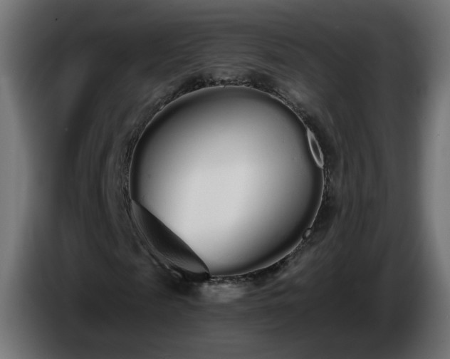 X0000084550817200703021504