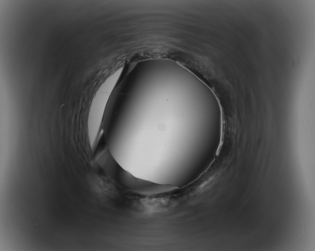 X0000084550818200703021504