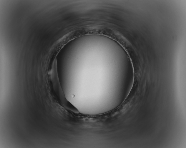 X0000084550821200703021504