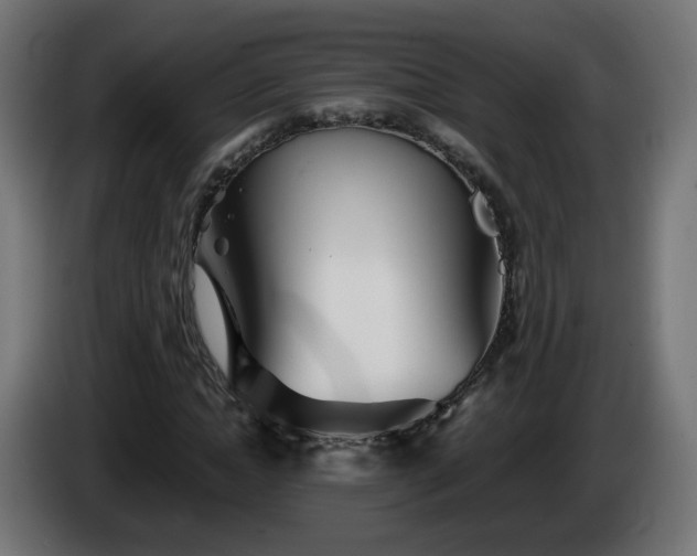 X0000084550822200703021504