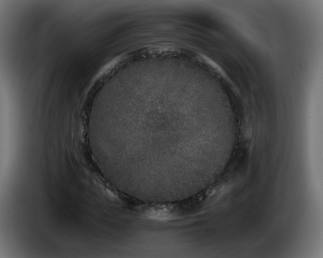 X0000084550823200703021504