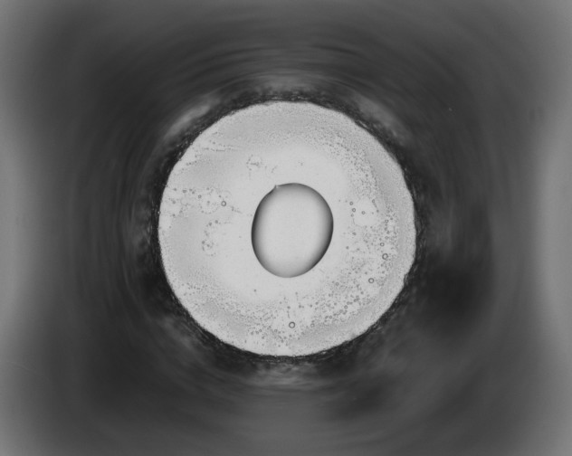 X0000084550824200703021504