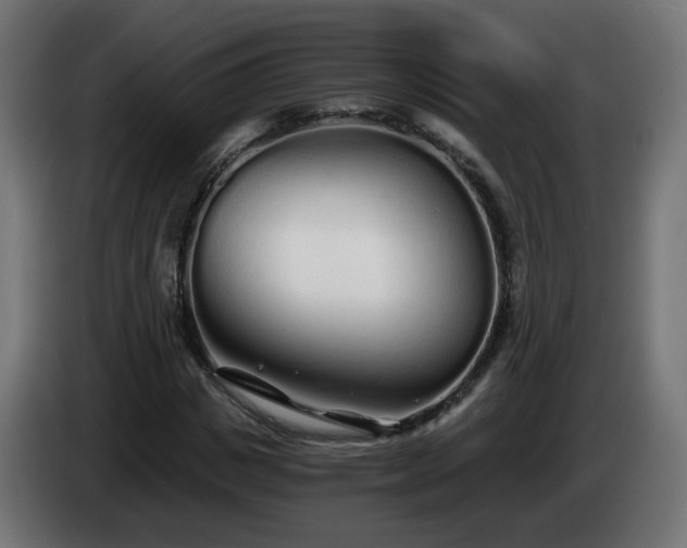 X0000084550825200703021504