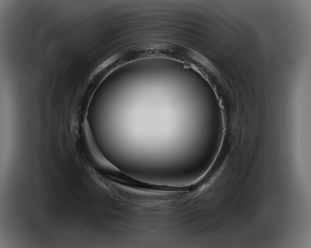 X0000084550826200703021504